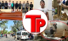 Bản tin Hình sự: Tâm sự của người bị trộm 455 lượng vàng trong 6 năm