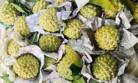 Hàng 'thất sủng' bỗng thành của hiếm: Lùng mua khắp chợ Hà thành