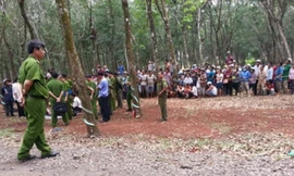 Đằng sau vụ án sát hại đại gia Tấn 'pê đê'