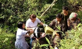 Các bác sĩ Bệnh viện Đa khoa Bắc Mê (Hà Giang) đã đỡ đẻ thành công cho một sản phụ bị tai nạn giao thông rơi xuống vách núi