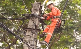 Thợ điện 'đội nắng, trắng đêm' đảm bảo nguồn điện cho người dân Thủ đô