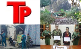 Bản tin Hình sự: Trộm cắp bị bắt, 9X tố bạn giết người, chôn xác