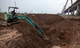 Các chủ vườn đào ở Hà Nội chi bộn tiền để cải tạo vườn sau lũ