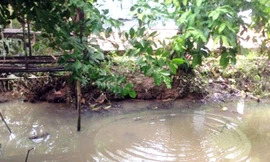 Ảnh minh họa - Nguồn ảnh Internet