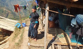 Săm tại nơi gây án