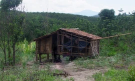 Căn chòi nơi xảy ra vụ việc