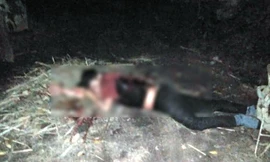 Hiện trường vụ án mạng chồng đâm chết vợ