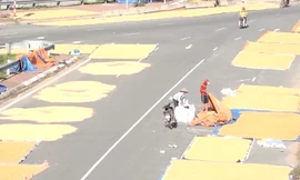 Mặt đường thành sân phơi thóc ở Hà Nội