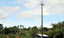 2 công nhân thương vong khi sửa chữa đường dây điện ở Phú Yên