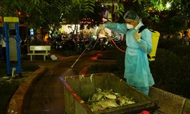 200 tấn cá chết ở Hồ Tây được đưa đi đâu?