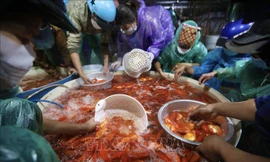 Ngày ông Công ông Táo, thực phẩm tăng giá chóng mặt