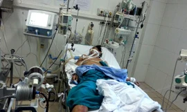 Bệnh nhân D nằm cấp cứu tại BV Các bệnh Nhiệt đới TW