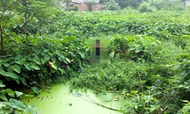 Trốn khỏi nhà tạm giữ, chết dưới ao rau muống