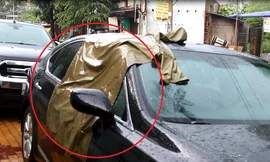 Ảnh chỉ mang tính minh họa