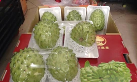 Mãng cầu Đài Loan có vị ngon đậm đà lạ miệng 