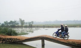 Cây cầu tử thần