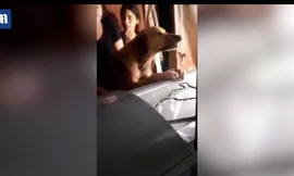 VIDEO: Rơi nước mắt cảnh chú chó trung thành không chịu rời linh cữu chủ nhân 