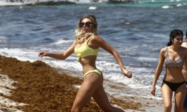 Trong bộ bikini 2 mảnh màu vàng, nàng Playboy người Canada phô thể hình nóng "bỏng mắt", khiến cánh mày râu "chao đảo" 