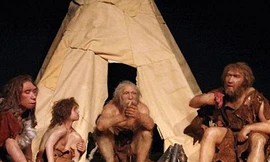 Người thượng cổ biến đổi gen lúa nước từ 10.000 năm trước