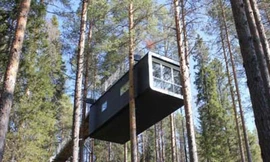 Độc đáo 'khách sạn cây'