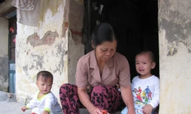 Bảy năm làm mẹ hộ người dưng