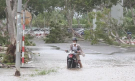 Hàng quán ven biển Đà Nẵng ngổn ngang, bão 'lột' gạch lát kè bờ sông Hàn