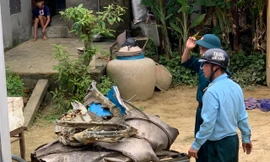 Vụ rơi máy bay qua lời kể của người dân ở hiện trường