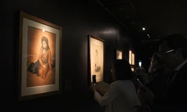 Triển lãm tranh 'Trắng ngọc trắng ngà' thu hút chú ý ở Đà Nẵng