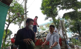 Người Đà Nẵng xúm tay giúp nông dân Quảng Nam tiêu thụ dưa hấu bị ngập