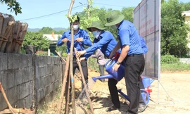Các loại con giống, cây giống đã được Thành Đoàn Đà Nẵng hỗ trợ cho những hộ thanh niên khó khăn, thanh niên dân tộc thiểu số trên địa bàn, giúp thanh niên nông thôn lập thân, lập nghiệp. Ảnh: Giang Thanh