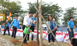 Trồng 1.000 cây, thêm mảng xanh cho khu công nghiệp ở Đà Nẵng