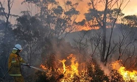 Bắt hai thanh niên ném bom ở khu vực cháy rừng