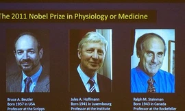 Ba nhà nghiên cứu giành giải Nobel Y học 2011