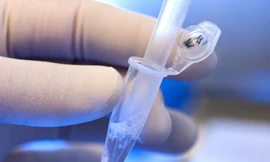 Việc chỉnh sửa gen được cho là phi đạo đức và nguy hiểm.