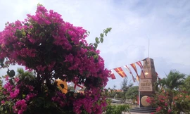 Muôn sắc hoa ở Trường Sa 