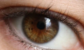 Các nhà khoa học có thể phát hiện một loại protein phá hủy não trong mắt người.