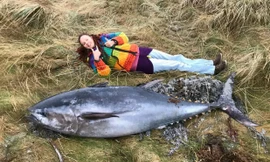 Người dân vùng biển Scotland thích thú chụp ảnh chung với xác chú các ngừ đại dương mắc cạn.
