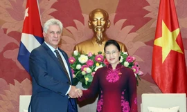 Chủ tịch Quốc hội Nguyễn Thị Kim Ngân hội kiến Chủ tịch Hội đồng Nhà nước và Hội đồng Bộ trưởng Cộng hòa Cuba Miguel Mario Díaz-Canel Bermúdez. (Ảnh: Trọng Đức/TTXVN)