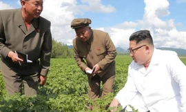 Ông Kim Jong-un bận đi thăm trang trại khoai tây ở tỉnh giáp biên giới Trung Quốc và là lý do khiến ông không đón tiếp Ngoại trưởng Mỹ Mike Pompeo. Ảnh: AFP