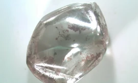 Viên kim cương lớn mà cụ bà tìm thấy khi dạo chơi công viên ở Mỹ.