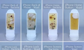 Các nhà khoa học đã phát hiện ra vô số vi khuẩn bám trên điện thoại thông minh.