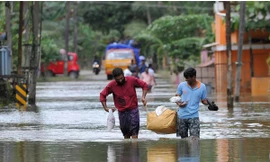 Sau lũ lụt, người dân Ấn Độ mắc nhiều bệnh truyền nhiễm, trong đó có sốt chuột.