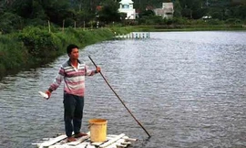 Du học 5 năm, về… làm ruộng