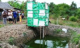 Bào thai nổi trong ao cá ở Cà Mau