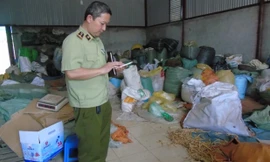 Thu giữ gần 300kg đông dược nhập lậu