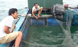 Về khu vực lấy nước thử nghiệm khiến cá chết sau 2 phút