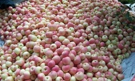 Ảnh minh họa. Nguồn: Internet