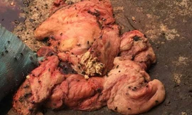 Mỡ chưa sơ chế được để ngay trên mặt đất bị ruồi nhặng bu kín. 