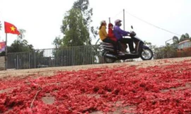 Xác pháo đầy đường ở xã Tề Lỗ, huyện Yên Lạc, Vĩnh Phúc sau đêm 30 Tết