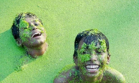 Ảnh kỹ thuật số đoạt giải của 2010 - tiếp